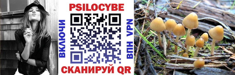 Купить  Светлый  Галлюциногенные грибы GOLDEN TEACHER 
